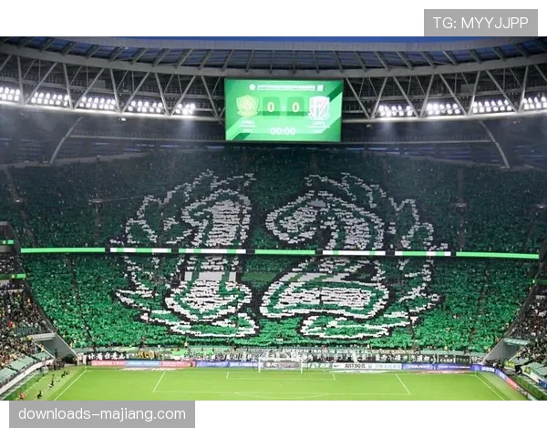 特写瞬间：沙尔克南看台球迷在保级关键战展示巨幅TIFO